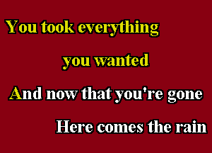 You took evelything
you wanted
And now that you're gone

Here comes the rain