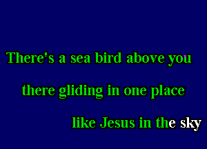 There's a sea bird above you

there gliding in one place

like Jesus in the sky