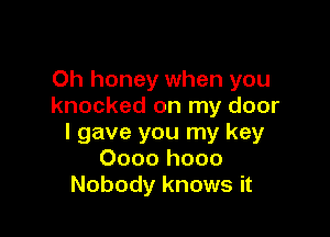 Oh honey when you
knocked on my door

I gave you my key
0000 hooo
Nobody knows it