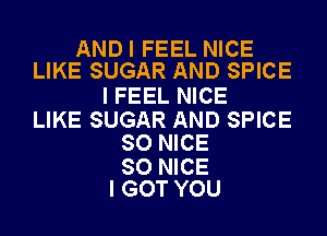 AND I FEEL NICE
LIKE SUGAR AND SPICE

I FEEL NICE

LIKE SUGAR AND SPICE
SO NICE

SO NICE
I GOT YOU