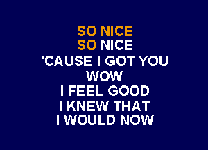 SO NICE
SO NICE

'CAUSE I GOT YOU

WOW
I FEEL GOOD

I KNEW THAT
I WOULD NOW