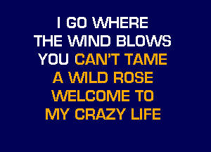I GO WHERE
THE WIND BLOWS
YOU CAN'T TAME

A WLD ROSE
1WELCOME TO
MY CRAZY LIFE

g