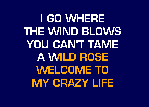 I GO WHERE
THE WIND BLOWS
YOU CAN'T TAME

A WLD ROSE
1WELCOME TO
MY CRAZY LIFE

g