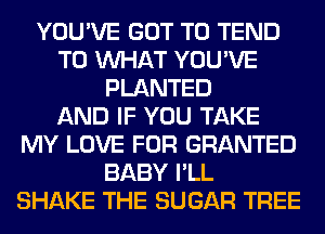YOU'VE GOT TO TEND
T0 WHAT YOU'VE
PLANTED
AND IF YOU TAKE
MY LOVE FOR GRANTED
BABY I'LL
SHAKE THE SUGAR TREE