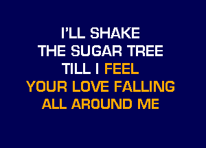 PLL SHAKE
THE SUGAR TREE
TILLI FEEL

YOUR LOVE FALLING
ALL AROUND ME