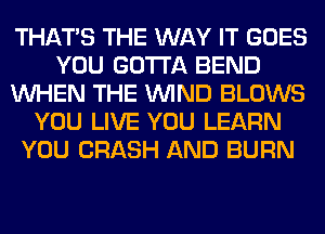 THAT'S THE WAY IT GOES
YOU GOTTA BEND
WHEN THE WIND BLOWS
YOU LIVE YOU LEARN
YOU CRASH AND BURN