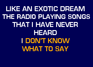 LIKE AN EXOTIC DREAM
THE RADIO PLAYING SONGS

THAT I HAVE NEVER
HEARD
I DON'T KNOW
WHAT TO SAY