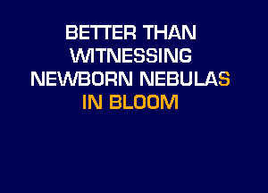 BETTER THAN
'WITNESSING
NEVVBORN NEBULAS

IN BLOOM