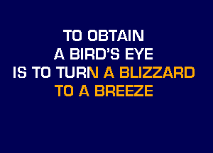 TO OBTAIN
A BIRD'S EYE
IS TO TURN A BLIZZARD
TO A BREEZE