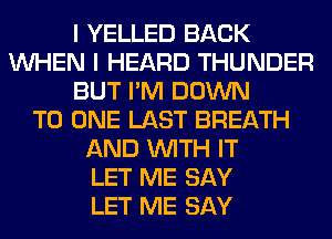 I YELLED BACK
WHEN I HEARD THUNDER
BUT I'M DOWN
TO ONE LAST BREATH
AND WITH IT
LET ME SAY
LET ME SAY