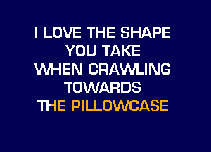 I LOVE THE SHAPE
YOU TAKE
KNHEN CRAWLING
TOWARDS
THE PILLOWCASE

g