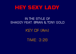 IN THE STYLE 0F
SHAGGY FEAT BRIAN SJDNY GOLD

KEY OF (Am)

TIME 3128