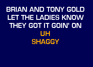 BRIAN AND TONY GOLD
LET THE LADIES KNOW
THEY GOT IT GOIN' 0N
UH
SHAGGY