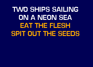 TWO SHIPS SAILING
ON A NEON SEA
EAT THE FLESH

SPIT OUT THE SEEDS