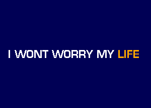 I WONT WORRY MY LIFE