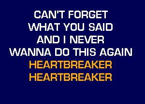 CAN'T FORGET
WHAT YOU SAID
AND I NEVER
WANNA DO THIS AGAIN
HEARTBREAKER
HEARTBREAKER