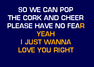 SO WE CAN POP
THE CORK AND CHEER
PLEASE HAVE NO FEAR

YEAH
I JUST WANNA
LOVE YOU RIGHT