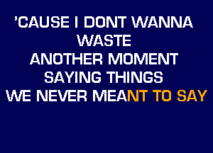 'CAUSE I DONT WANNA
WASTE
ANOTHER MOMENT
SAYING THINGS
WE NEVER MEANT TO SAY