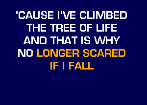 'CAUSE I'VE CLIMBED
THE TREE OF LIFE
AND THAT IS WHY

NO LONGER SCARED

IF I FALL