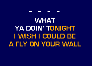 WHAT
YA DOIM TONIGHT

I WSH I COULD BE
A FLY ON YOUR WALL