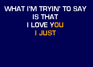 WHAT I'M TRYIN' TO SAY
IS THAT
I LOVE YOU
I JUST