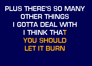 PLUS THERE'S SO MANY
OTHER THINGS
I GOTTA DEAL WITH
I THINK THAT
YOU SHOULD
LET IT BURN