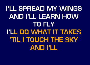 I'LL SPREAD MY WINGS
AND I'LL LEARN HOW
TO FLY
I'LL DO WHAT IT TAKES
'TIL I TOUCH THE SKY
AND I'LL