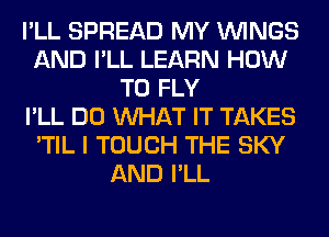 I'LL SPREAD MY WINGS
AND I'LL LEARN HOW
TO FLY
I'LL DO WHAT IT TAKES
'TIL I TOUCH THE SKY
AND I'LL