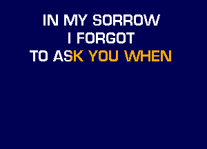 IN MY BORROW
I FORGOT
TO ASK YOU WHEN