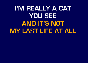I'M REALLY A CAT
YOU SEE
AND IT'S NOT
MY LAST LIFE AT ALL