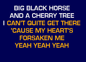 BIG BLACK HORSE
AND A CHERRY TREE
I CAN'T QUITE GET THERE
'CAUSE MY HEARTS
FORSAKEN ME
YEAH YEAH YEAH