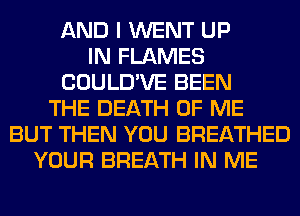 AND I WENT UP
IN FLAMES
COULD'VE BEEN
THE DEATH OF ME
BUT THEN YOU BREATHED
YOUR BREATH IN ME