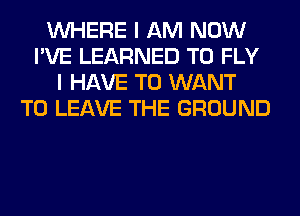 WHERE I AM NOW
I'VE LEARNED T0 FLY
I HAVE TO WANT
TO LEAVE THE GROUND