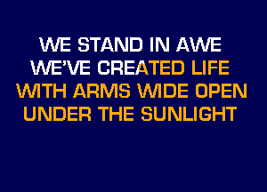 WE STAND IN AWE
WE'VE CREATED LIFE
WITH ARMS WIDE OPEN
UNDER THE SUNLIGHT