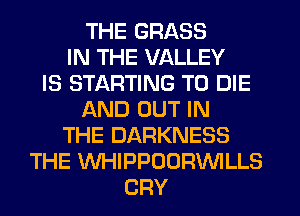 THE GRASS
IN THE VALLEY
IS STARTING TO DIE
AND OUT IN
THE DARKNESS
THE WHIPPDORWLLS
CRY