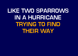 LIKE TWO SPARROWS
IN A HURRICANE
TRYING TO FIND

THEIR WAY