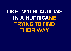 LIKE TWO SPARROWS
IN A HURRICANE
TRYING TO FIND

THEIR WAY