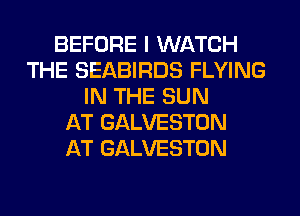 BEFORE I WATCH
THE SEABIRDS FLYING
IN THE SUN
AT GALVESTON
AT GALVESTON