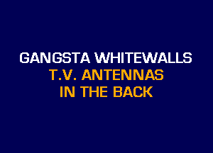 GAN GSTA WHITEWALLS
T.V. ANTENNAS

IN THE BACK