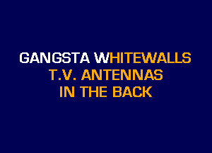 GAN GSTA WHITEWALLS
T.V. ANTENNAS

IN THE BACK