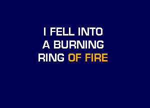 l FELL INTO
A BURNING

RING OF FIRE