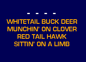 VVHITETAIL BUCK DEER
MUNCHIM 0N CLOVER
RED TAIL HAWK
SITI'IN' ON A LIMB