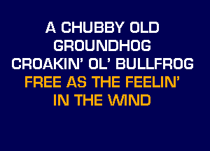 A CHUBBY OLD
GROUNDHOG
CROAKIN' OL' BULLFROG
FREE AS THE FEELIM
IN THE WIND