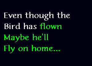 Even though the
Bird has flown

Maybe he'll
Fly on home...