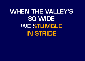 WHEN THE VALLEY'S
SO WDE
WE STUMBLE

IN STRIDE