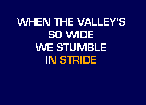 WHEN THE VALLEY'S
80 WIDE
INE STUMBLE

IN STRIDE