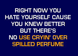 RIGHT NOW YOU
HATE YOURSELF CAUSE
YOU KNEW BETTER
BUT THERE'S
N0 USE CRYIN' OVER
SPILLED PERFUME