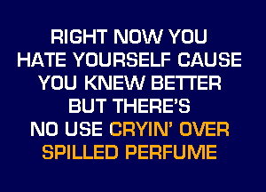 RIGHT NOW YOU
HATE YOURSELF CAUSE
YOU KNEW BETTER
BUT THERE'S
N0 USE CRYIN' OVER
SPILLED PERFUME