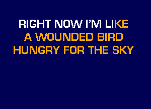RIGHT NOW I'M LIKE
A WOUNDED BIRD
HUNGRY FOR THE SKY
