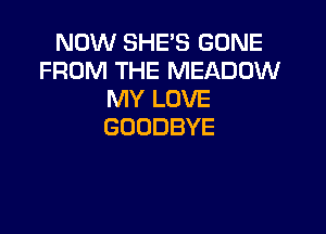 NOW SHE'S GONE
FRONFH ENEADOm!
IWYLOVE

GOODBYE